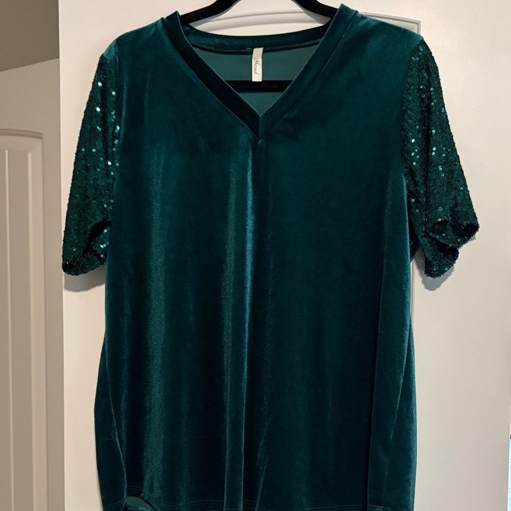 Hesed Chic Velvet Top with Sequin Sleeves